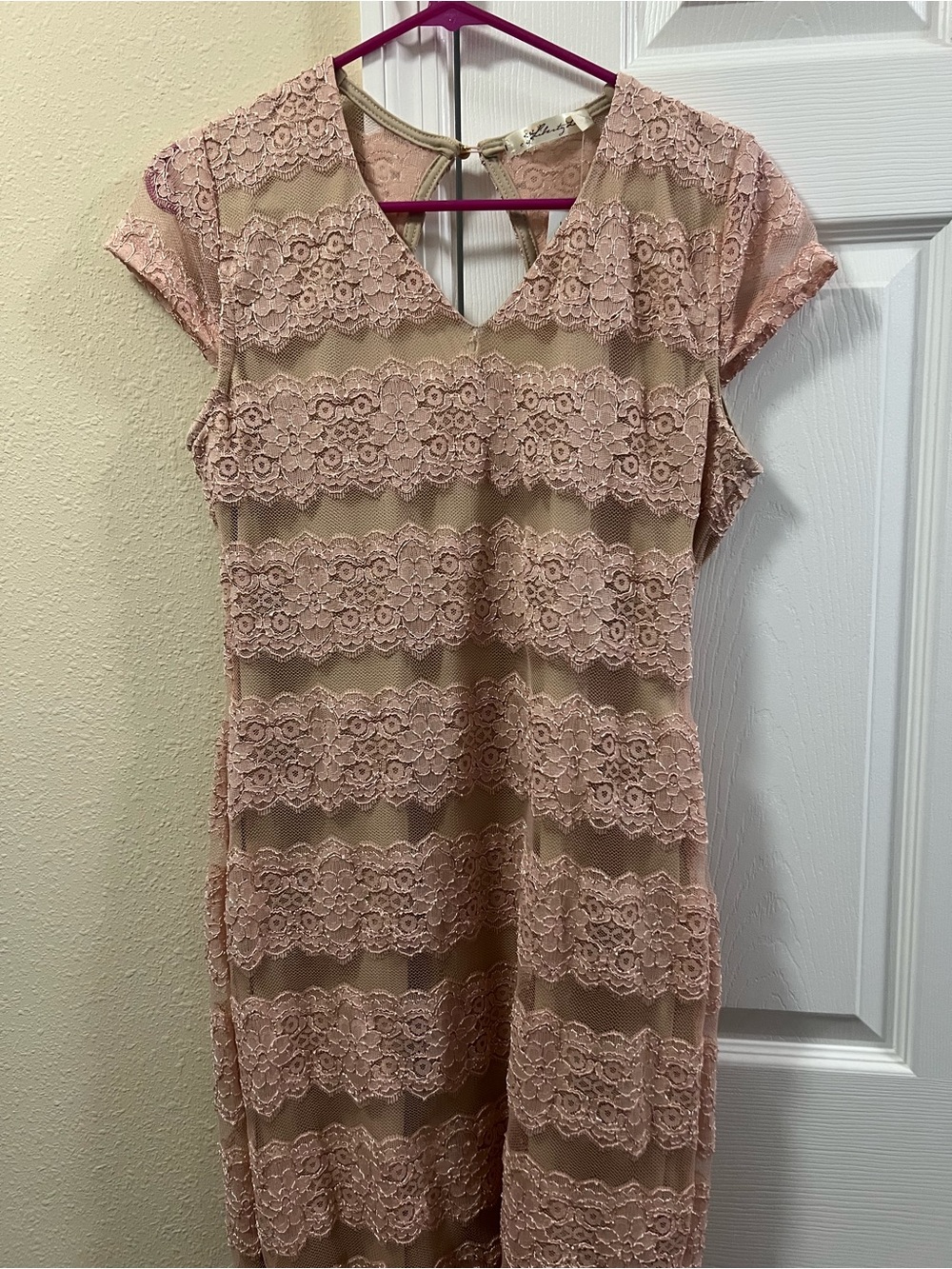 Blush Lace Overlay V-Neck Dress